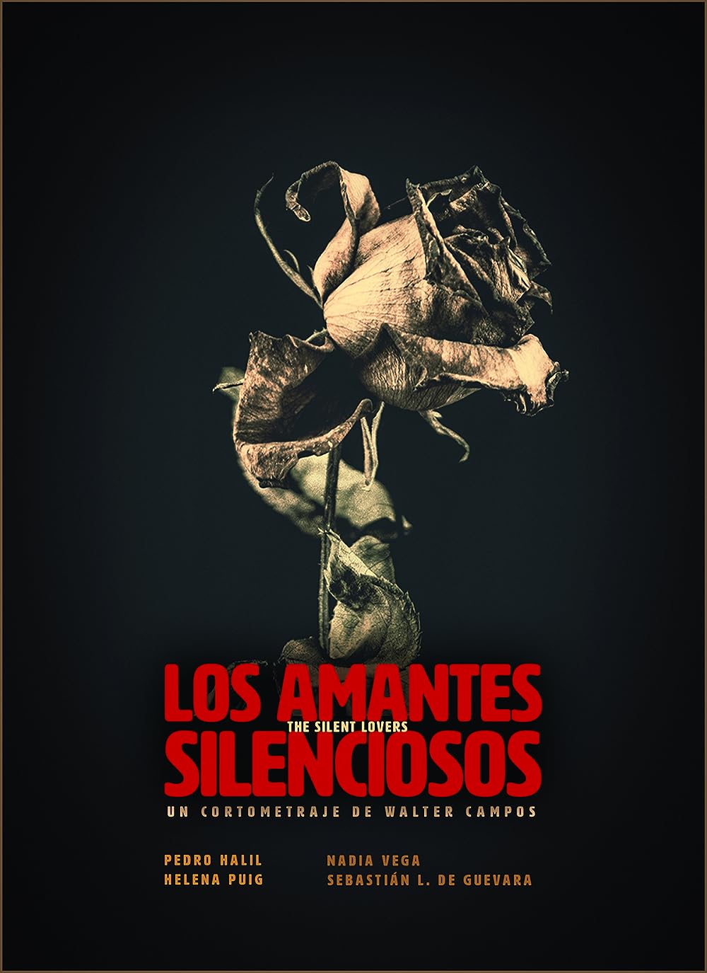 постер Los amantes silenciosos